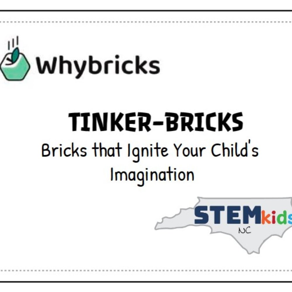 Tinker Bricks - Ignite Your Engineer's Imagination! - Catapult, Bridge, Fidget